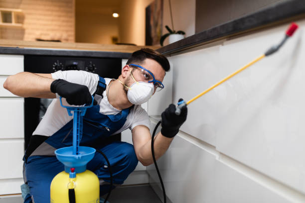 Best Bed Bug Extermination  in Pleasant Hill, TX
