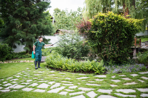 Best Best Pest Control Companies  in Pleasant Hill, TX