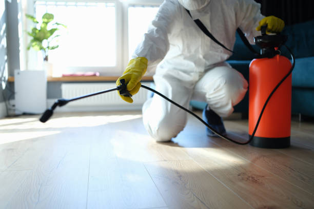 Professional Pest Control in Pleasant Hill, TX