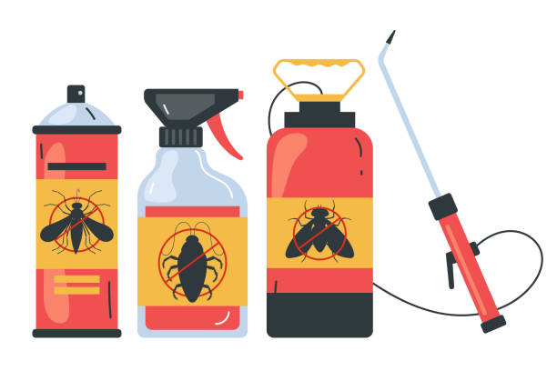 Best Local Pest Control Services  in Pleasant Hill, TX