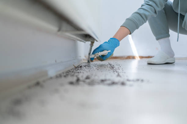 Best Affordable Pest Control Services  in Pleasant Hill, TX